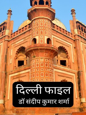 cover image of Delhi File